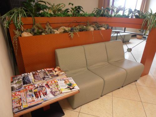 Felix Hotel 3*